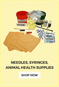 Web Specials